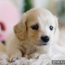 동물에반하다동물병원 이미지