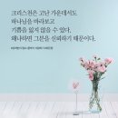 헤세드 네이버블로그