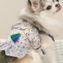 포쉬블루