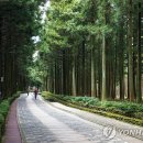 절물생태관리소 (절물자연휴양림) 이미지