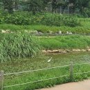 중동시장 버스정류장 옆 이미지