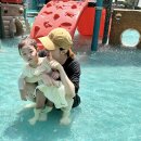 신흥2동 물놀이장 이미지