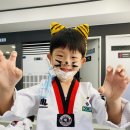 천하효태권도장 이미지