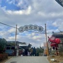 장생포고래로L 네이버블로그