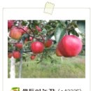 쌍둥이농장 이미지