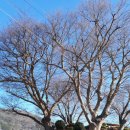 향일암버스승강장 이미지