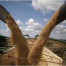 미중농장 이미지