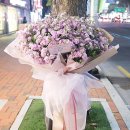 진흥플라워 - 김포시 당산길 600-20 | 진흥플라워