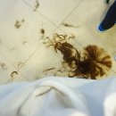 이가자헤어서비스 이미지