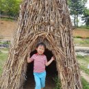 용인대 금곡 태권도 이미지