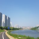 안산천 이미지