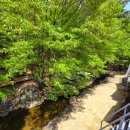 청도빛축제펜션 이미지