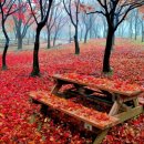 실버레크댄스 이미지