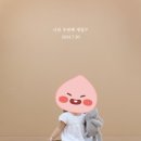 오리나무길 이미지