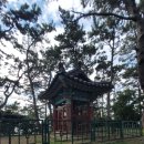 정운공순의비 이미지