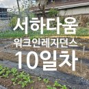 LH함양서하어린이도서관 이미지