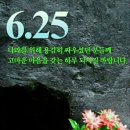 흥룡초교 이미지