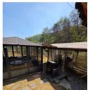 산들애 한옥펜션 | 천안펜션 산과 물 흐르는 풍경 속 독채 한옥 산들애 한옥펜션 이용 후기