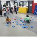 용인대 화랑 합기도 이미지