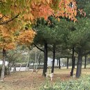 쏘윈스