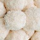 노루농장 이미지