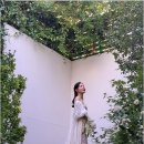 메이크와이즈