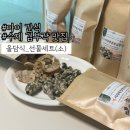 수제김부각:: 아이 간식으로 맛있는 김부각 황태껍질부각 맛집 올담식 선물세트 솔직후기