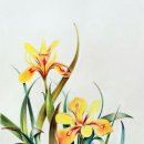 꽃그림 보타니컬 색연필화 이미지