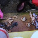 제주해녀횟집 이미지