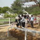 대전승마장 이미지