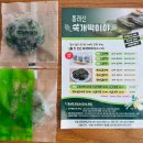 공주알프스관광펜션 | 영월 숙소 어라연관광호텔 조식 후기 내돈내산