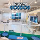 GOODOG 네이버블로그