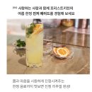 이정옥코스매턱화장품 | 비건화장품 진저 아쿠아 릴리프 진저 폼 클렌저, 진저 패드, 진저 선크림 후기
