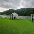 쁘띠독애견펜션 이미지