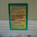 원터치텐트 오토4울트라와이드 로 대부도 행운캠핑장에서 보낸 가을