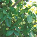 순양농장 이미지