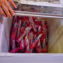 광장포차 | 둔산동 술집, 을지로 야장이 여기에? 광장포차 후기