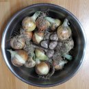 기철농장 이미지