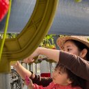 151-1-000011 이미지