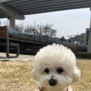 (주)바우라움 수원 캠퍼스 이미지