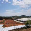 진등농장 이미지