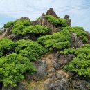 임승용행정사무소 이미지