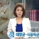 송학식품