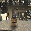 한창헬스 이미지