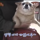 하이엔드핏PT