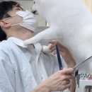 밍그루밍 이미지