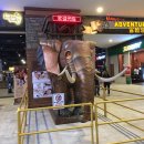 코끼리 게임장 이미지