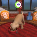 퍼피아일랜드 이미지