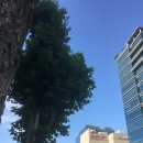 제주하늘지기 | 무지개의 별 이야기 - 별하늘지기 10년, 그리고 @ 2/2