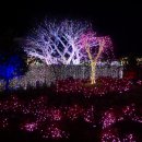 행화농장 이미지